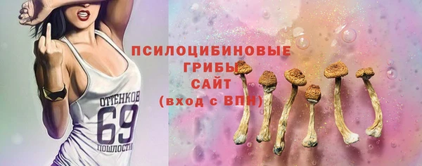 ПСИЛОЦИБИНОВЫЕ ГРИБЫ Сатка