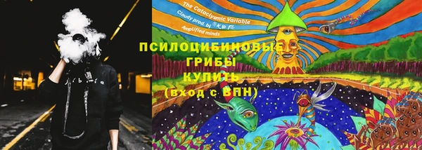 ALPHA-PVP Алексеевка